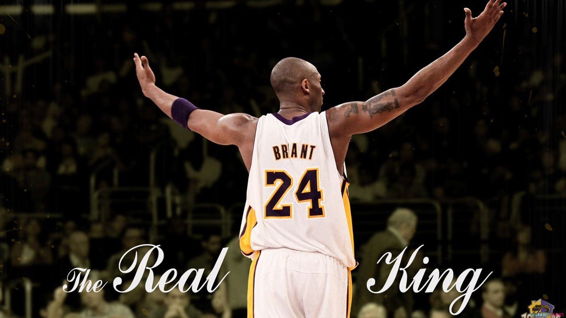 开云体育视频直播-班凯罗统治级数据闪耀，辽宁队力克太阳展现冠军底蕴