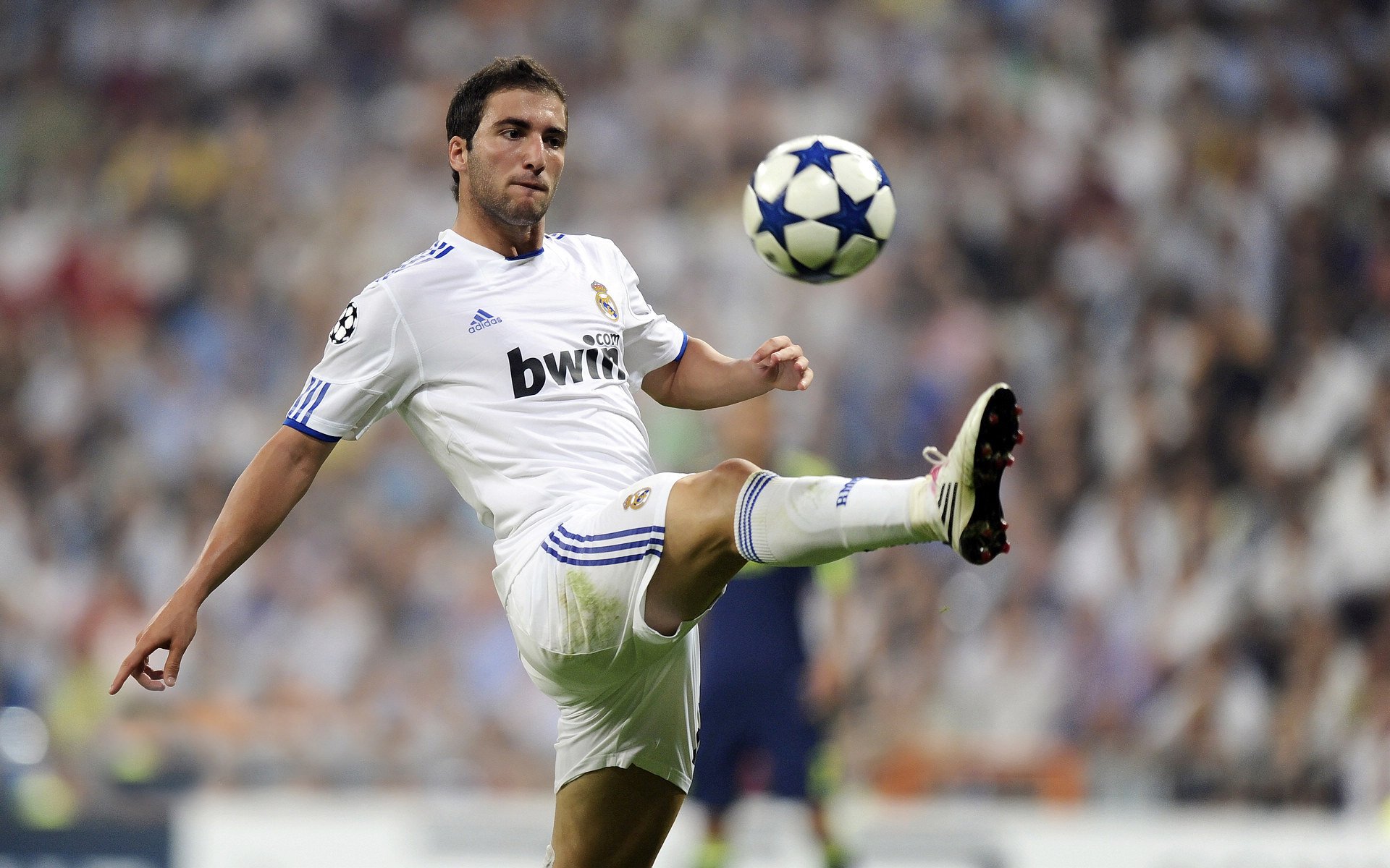 格列兹曼爆发点燃法国引擎，几内亚关键战突围加拿大显黑马潜质